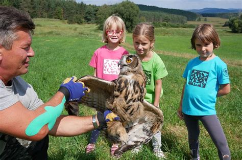 Zoo a zooparky ve středních Čechách, výlety za zvířátky